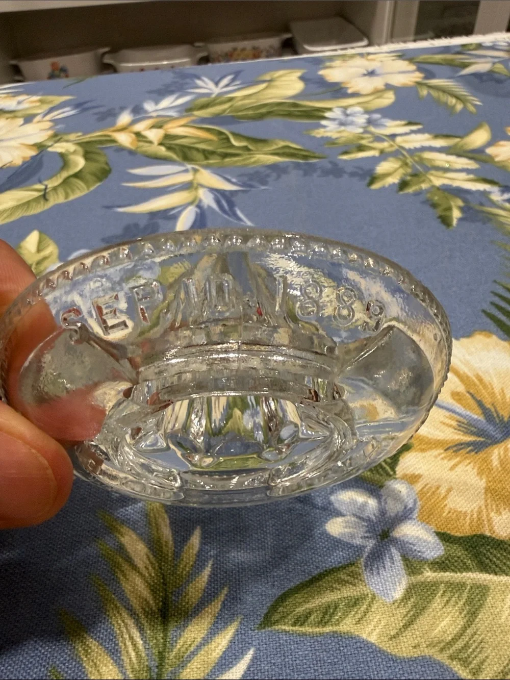Clear Glass Citrus Press - Classic Handheld Reamer